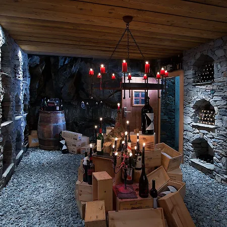 萤火虫豪华套房酒店 酒店 4*