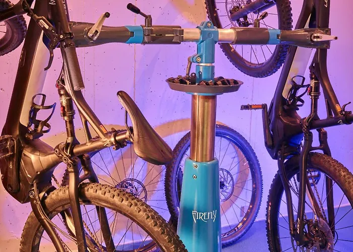 酒店 萤火虫豪华套房酒店 采尔马特