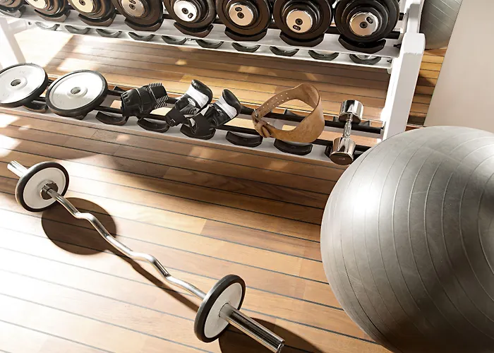 酒店 萤火虫豪华套房酒店 4*