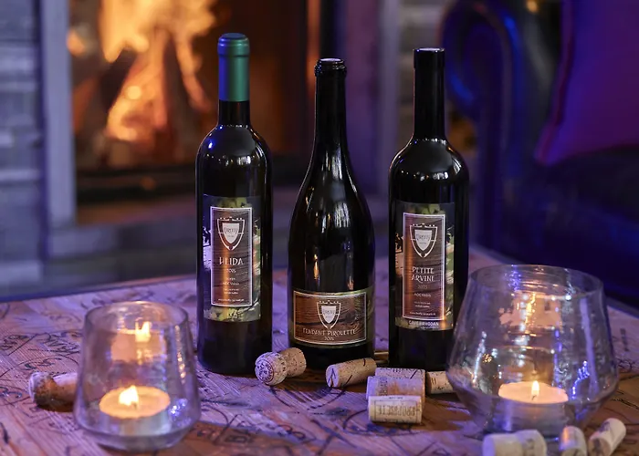 酒店 萤火虫豪华套房酒店