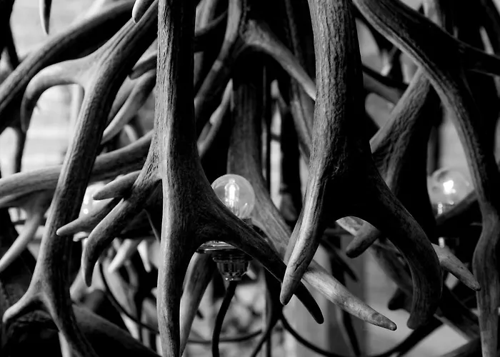 萤火虫豪华套房酒店 酒店 4*