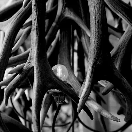 Firefly Luxury Hotel 4*